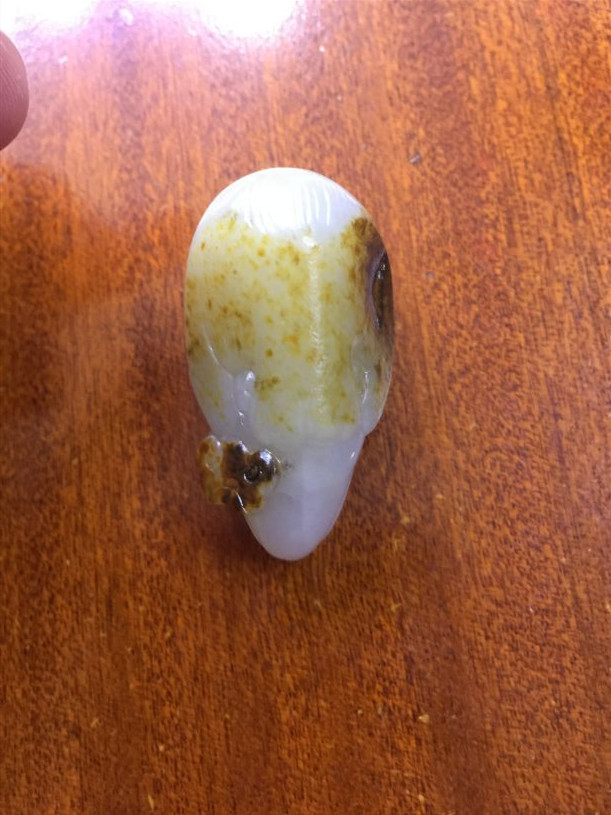 鹰